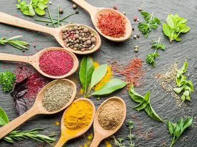 portuguese cooking vocabulary herbs and spices